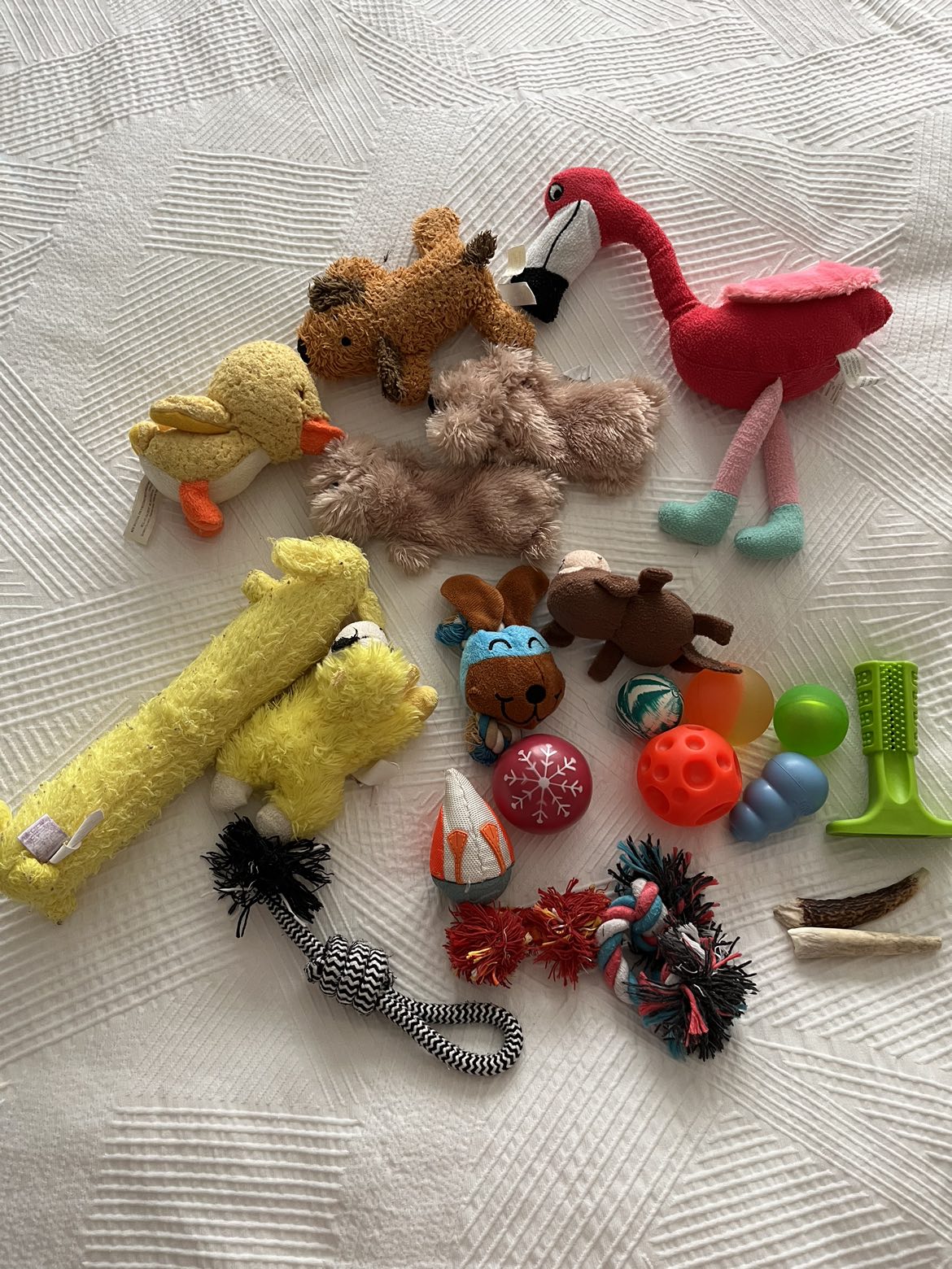 #freecycle gently used pet toys