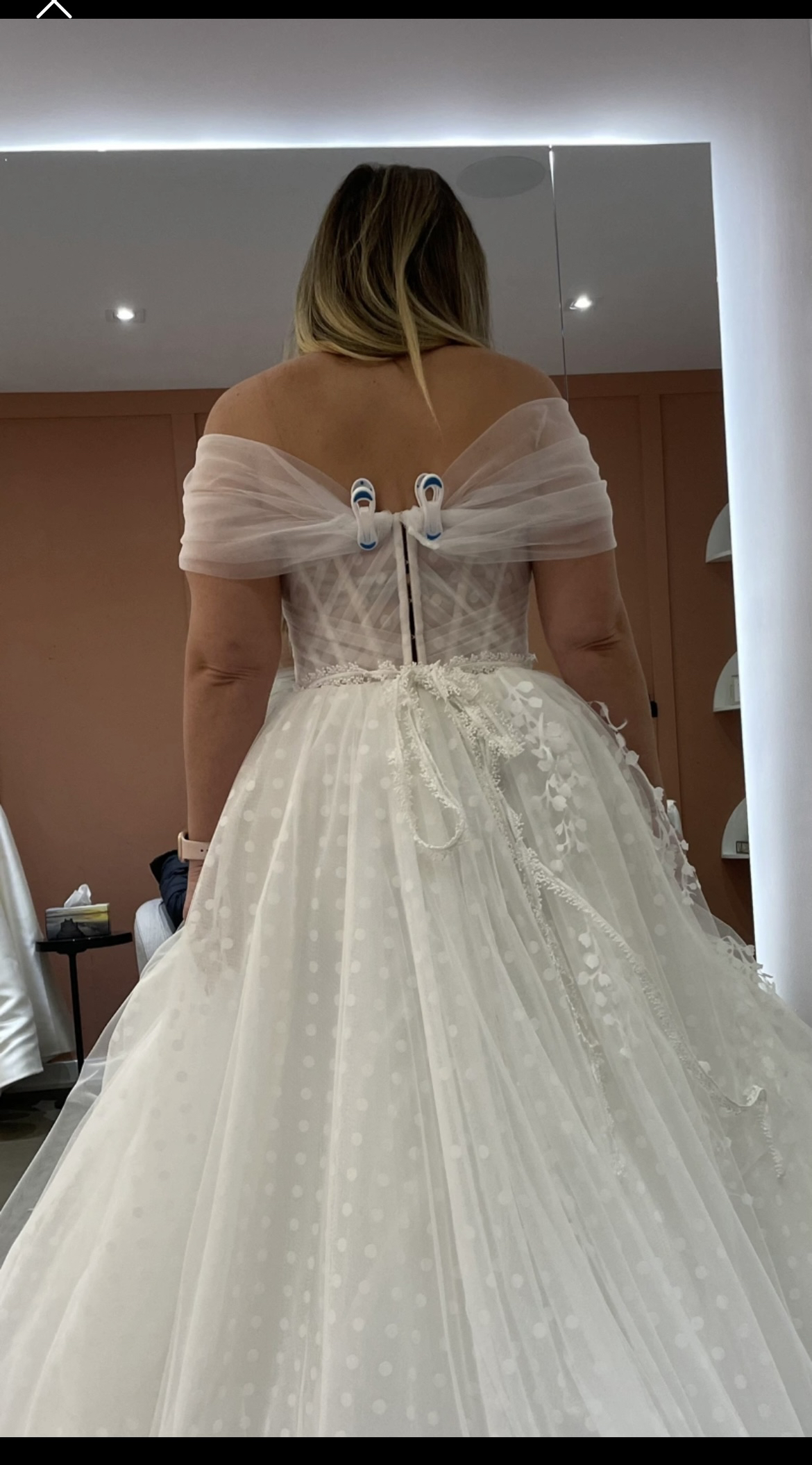 Wedding dress image indicator(2)