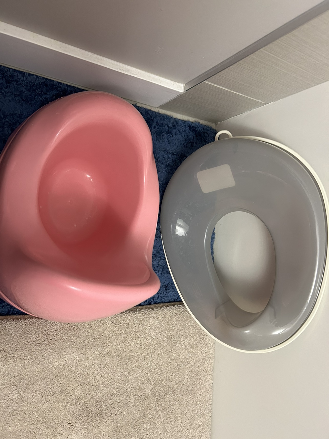 Potty seat