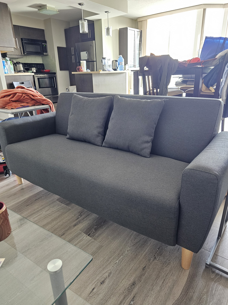 Loveseat sofa couch *6 MONTHS OLD* grey - photo 2
