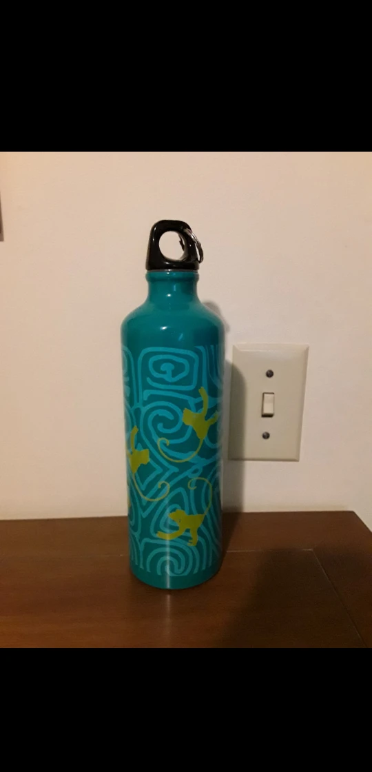 Water bottle - metal with monkey design #freecycle