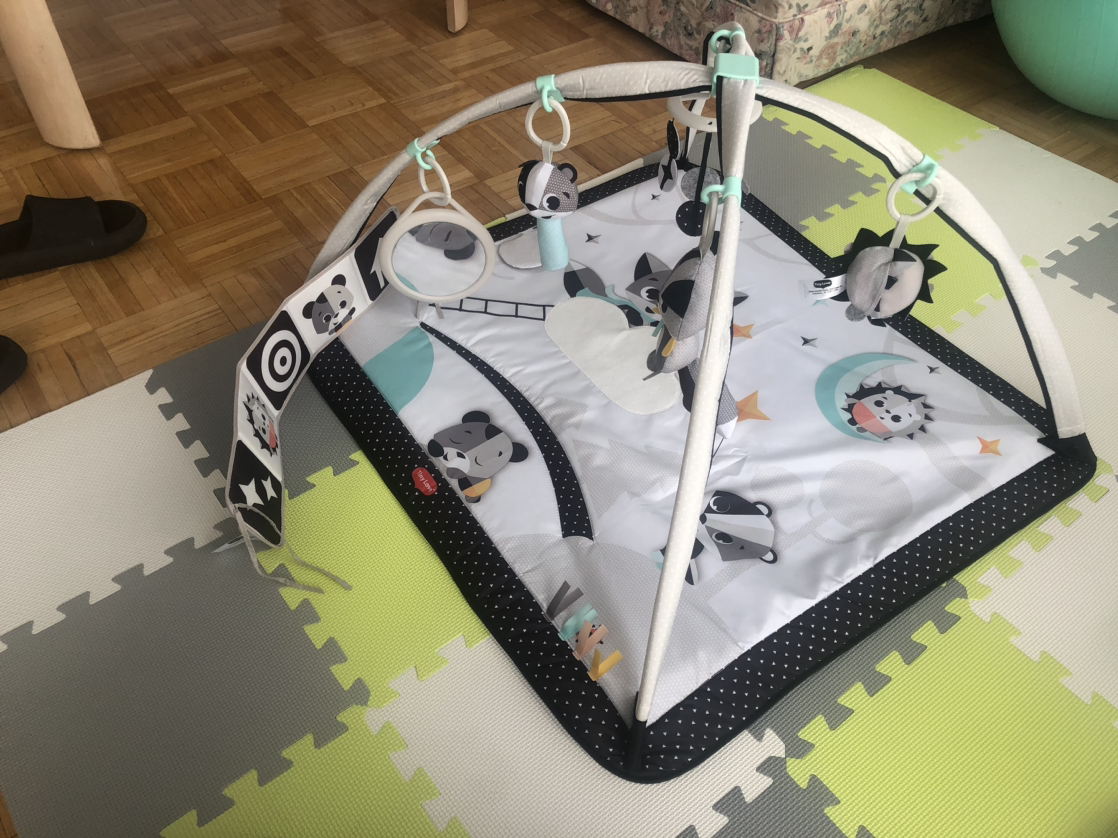 Play mat/ Tummy time mat image indicator(2)