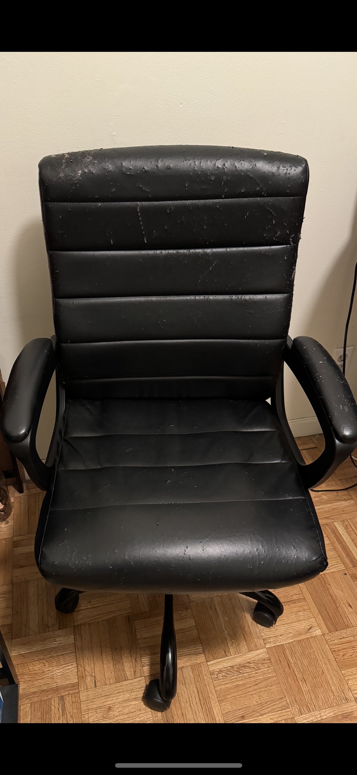 Office Executive Chair with Armrest