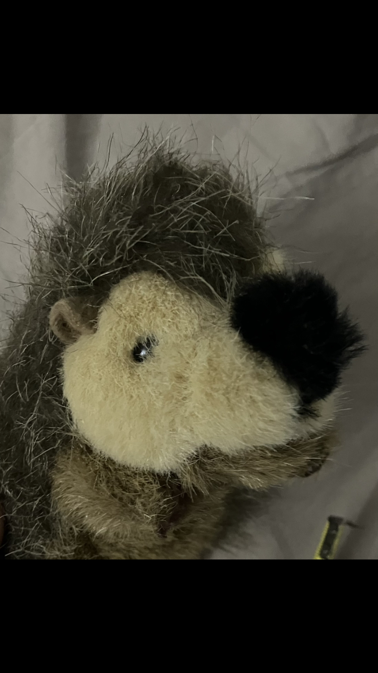 Looking To Trade Hedgehog Plushie🦔 image indicator(2)