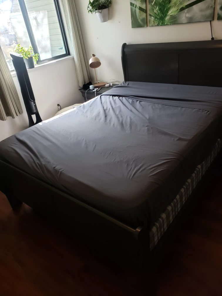 Queen bed frame & box spring - photo 2