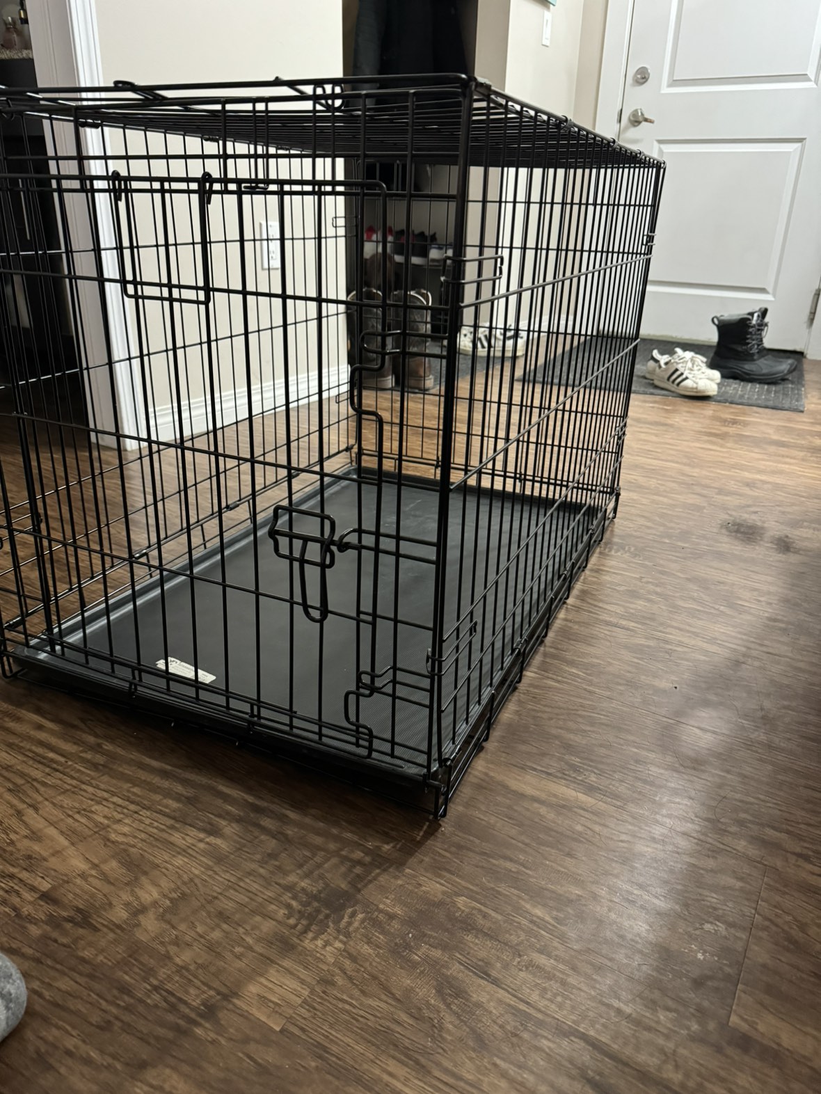 Medium dog kennel thumbnail