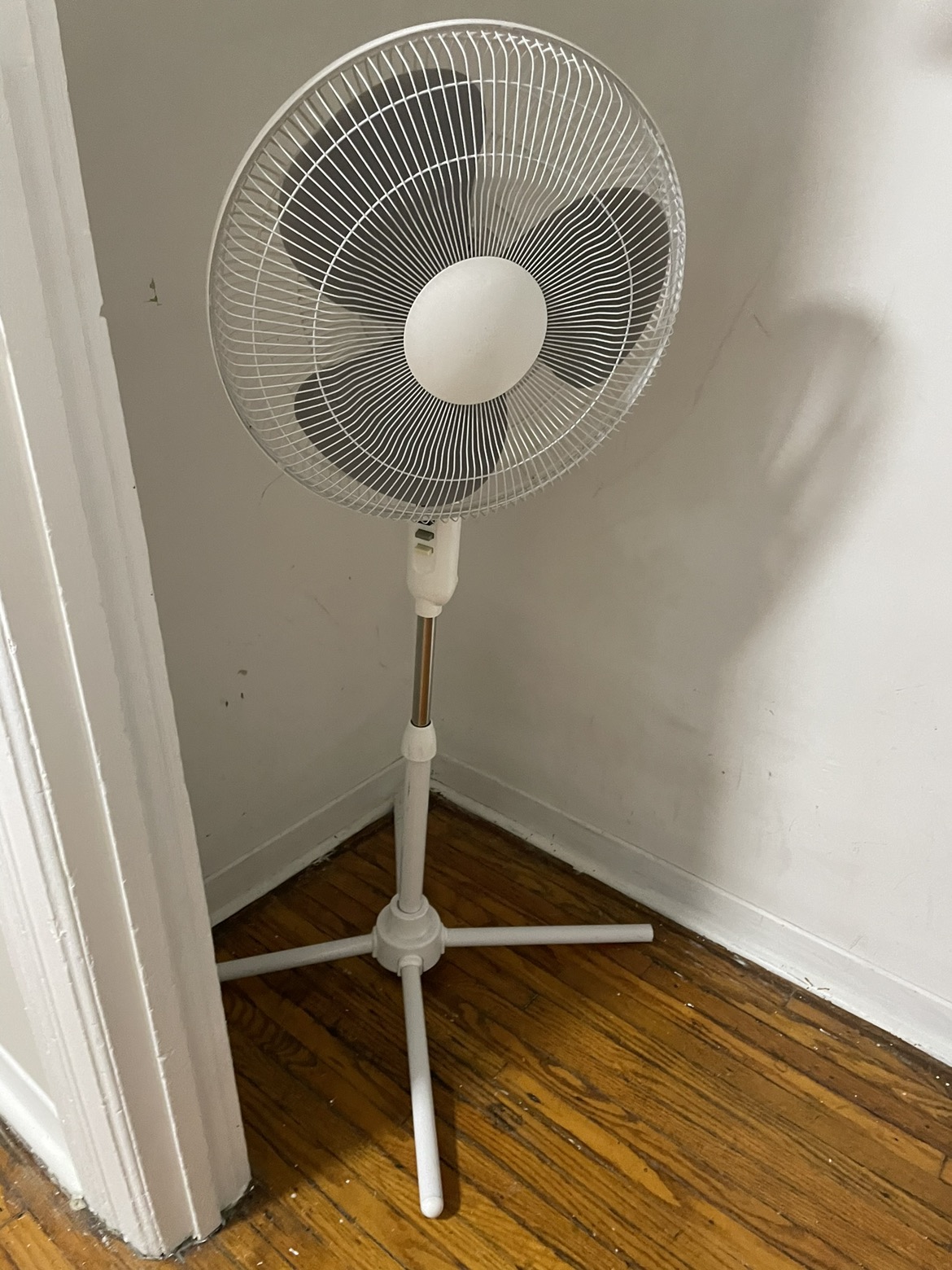 Standing fan 🥕 thumbnail