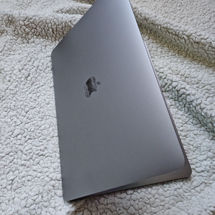 MacBook Pro (13-inch, 2016, 256g) - photo 4
