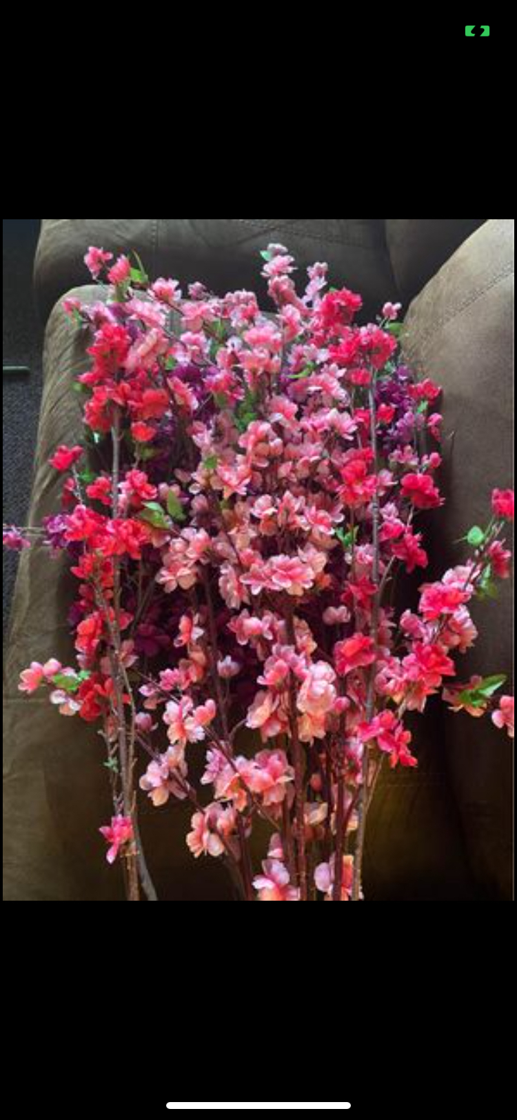 Cherry blossoms, 17 long stem flowers