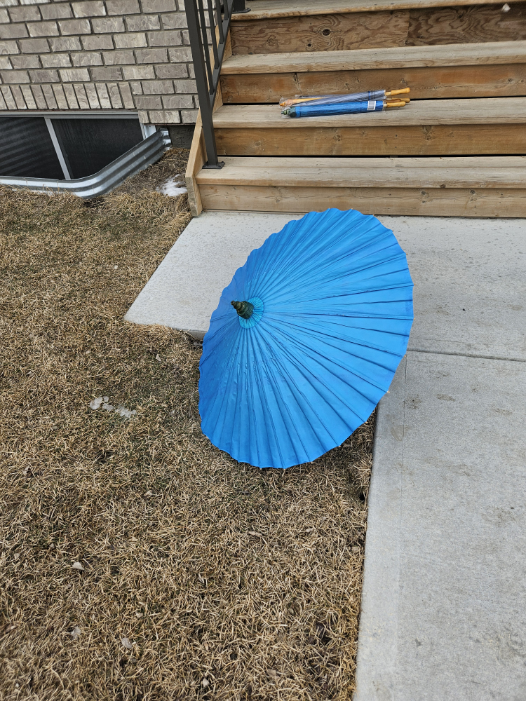 5 Solid Color Parasol Umbrella