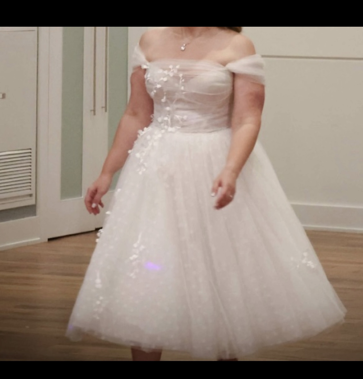 Wedding dress image indicator(4)