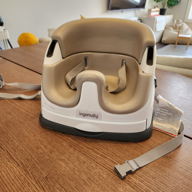 Ingenuity Baby Booster - photo 3