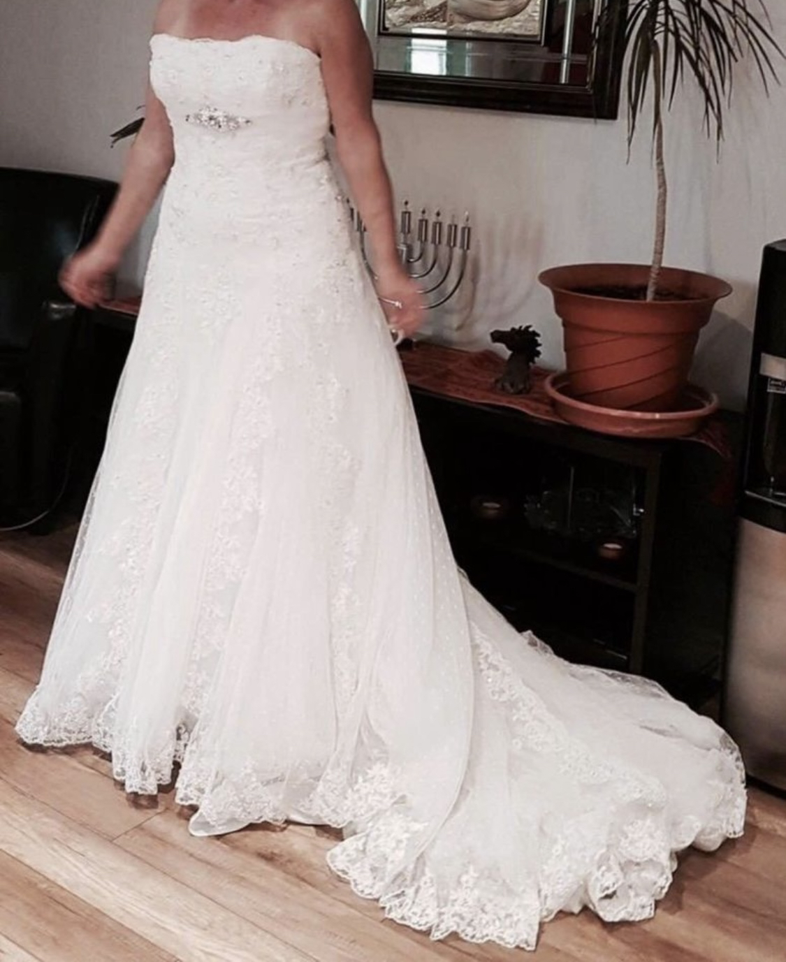 Gorgeous Cara Mía strapless Lace Wedding Dress size M image indicator(3)