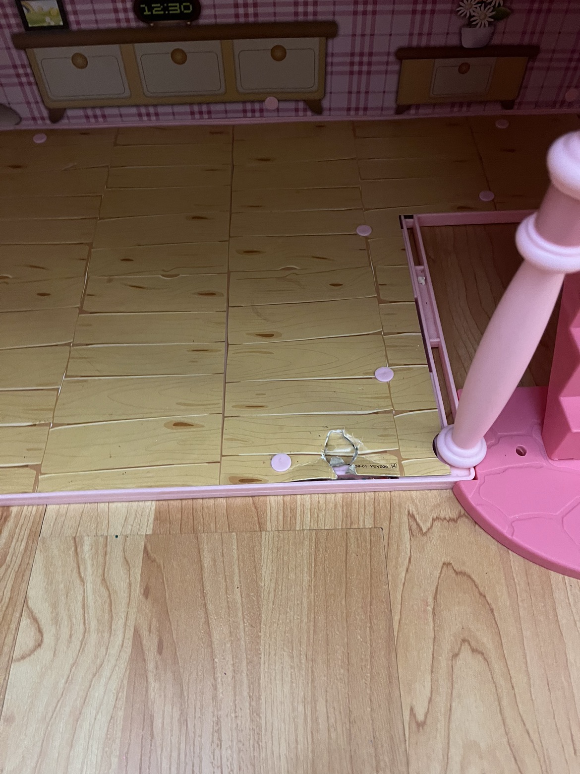Dollhouse image indicator(3)
