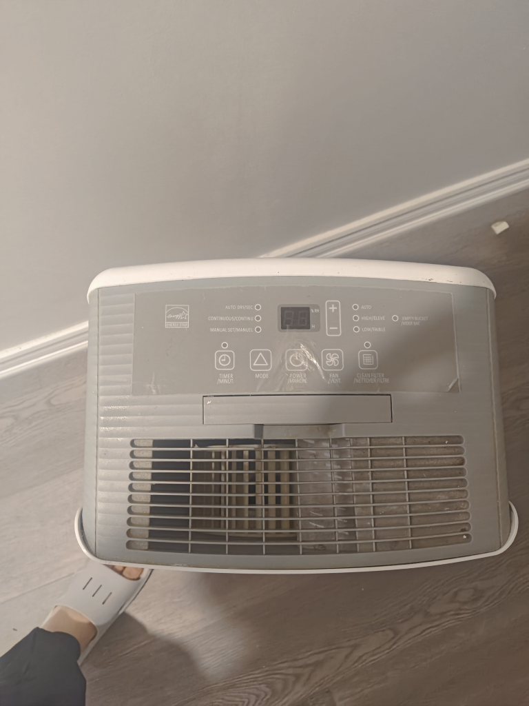 moisture removal - photo 4