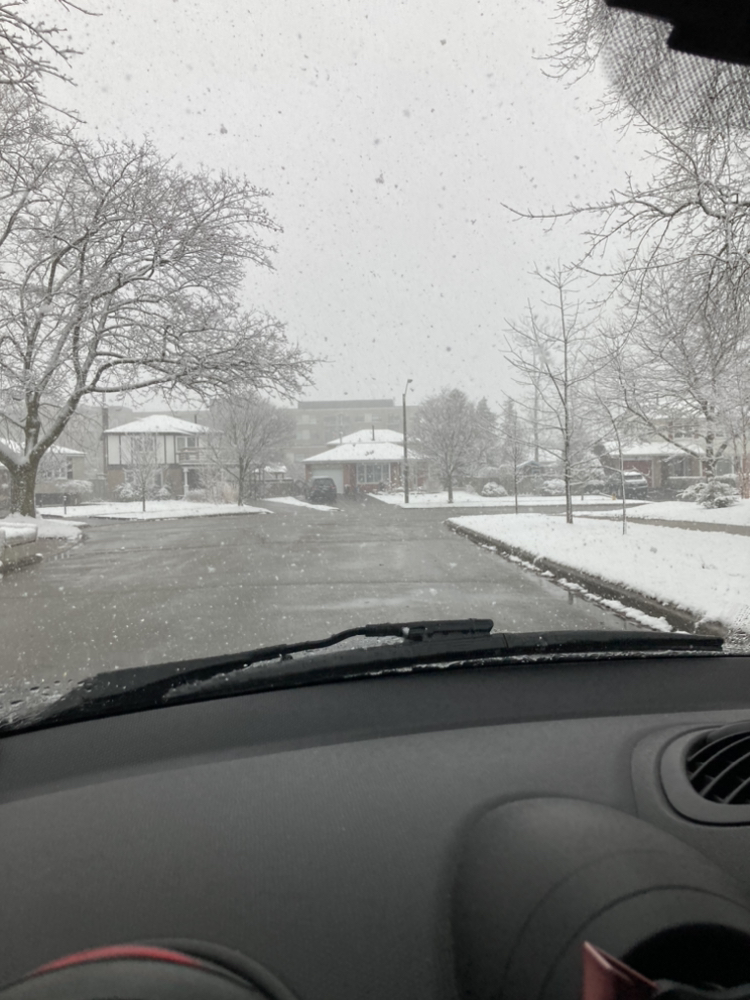ISO snow removal Saturday