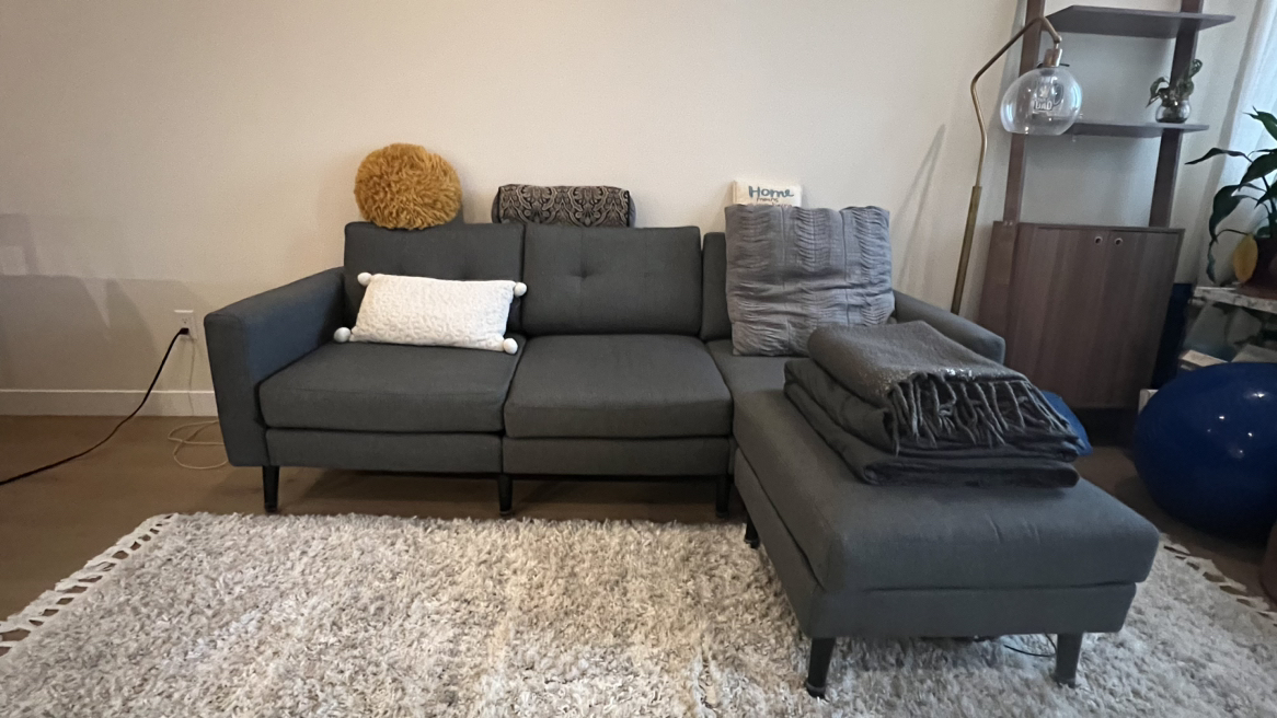 Borrow Couch - photo 4