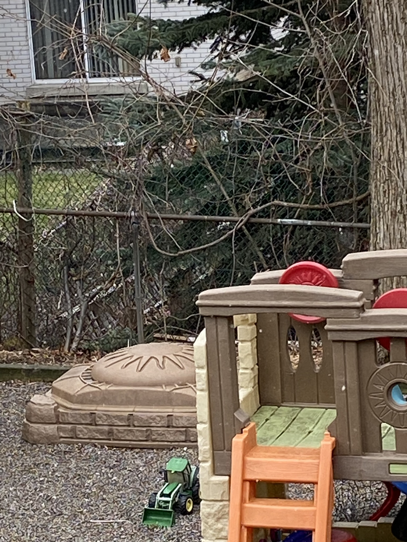 Step2 Naturally Playful Woodland Climber #freecycle image indicator(7)