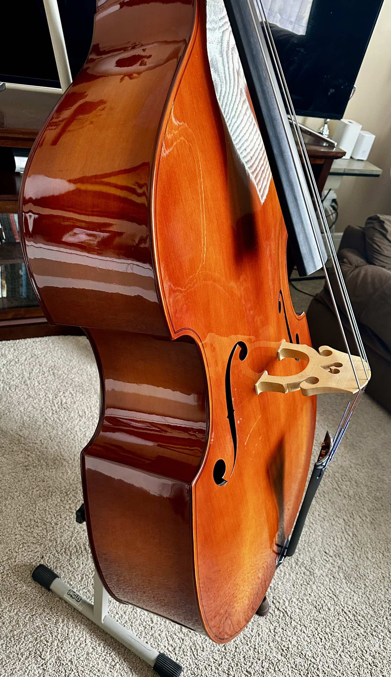 Upright Doble Bass - photo 3
