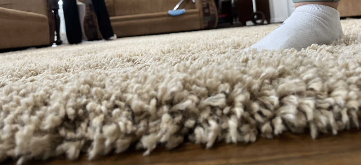 Shag Area rug - photo 3