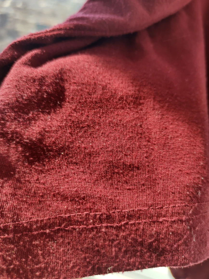 🥕 Hi-Low T-shirt top image indicator(2)