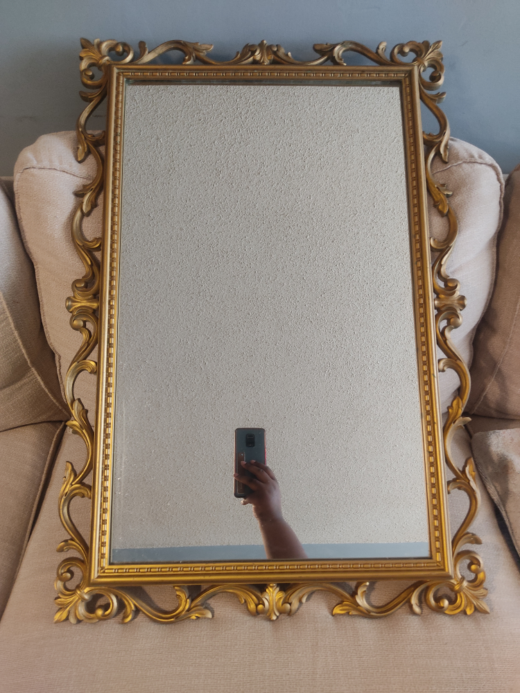 Mirror image indicator(2)