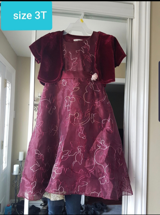 Girls dress size 3T in excellent condition thumbnail