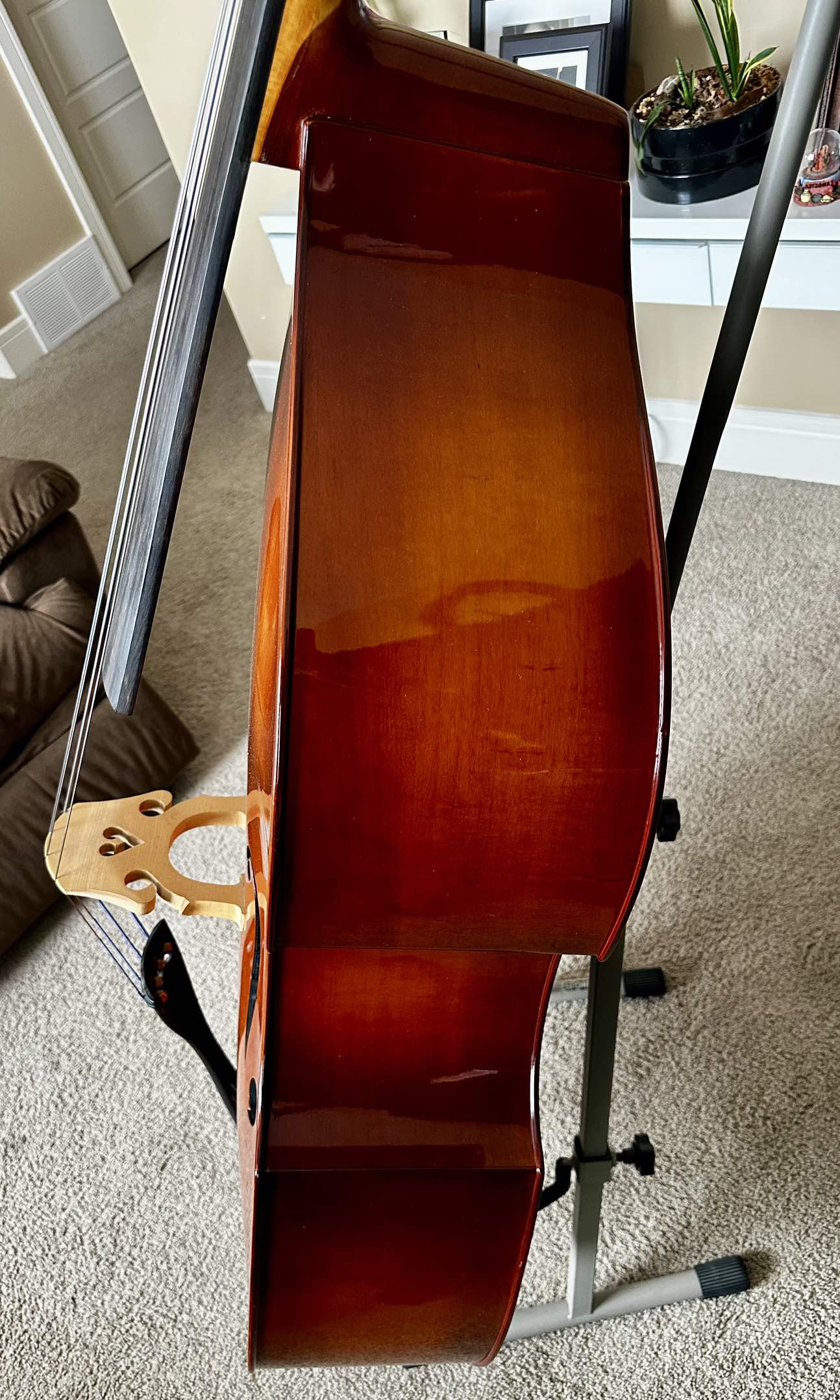 Upright Doble Bass - photo 4