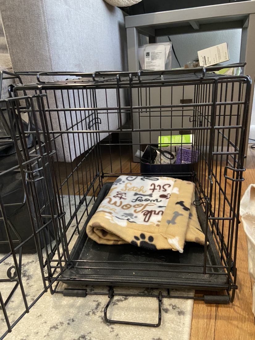 Free Dog Crate