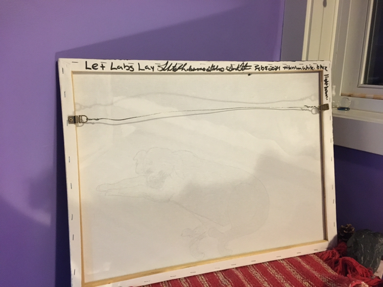 Let labs lay (the cutest old lab you ever did see) image indicator(2)