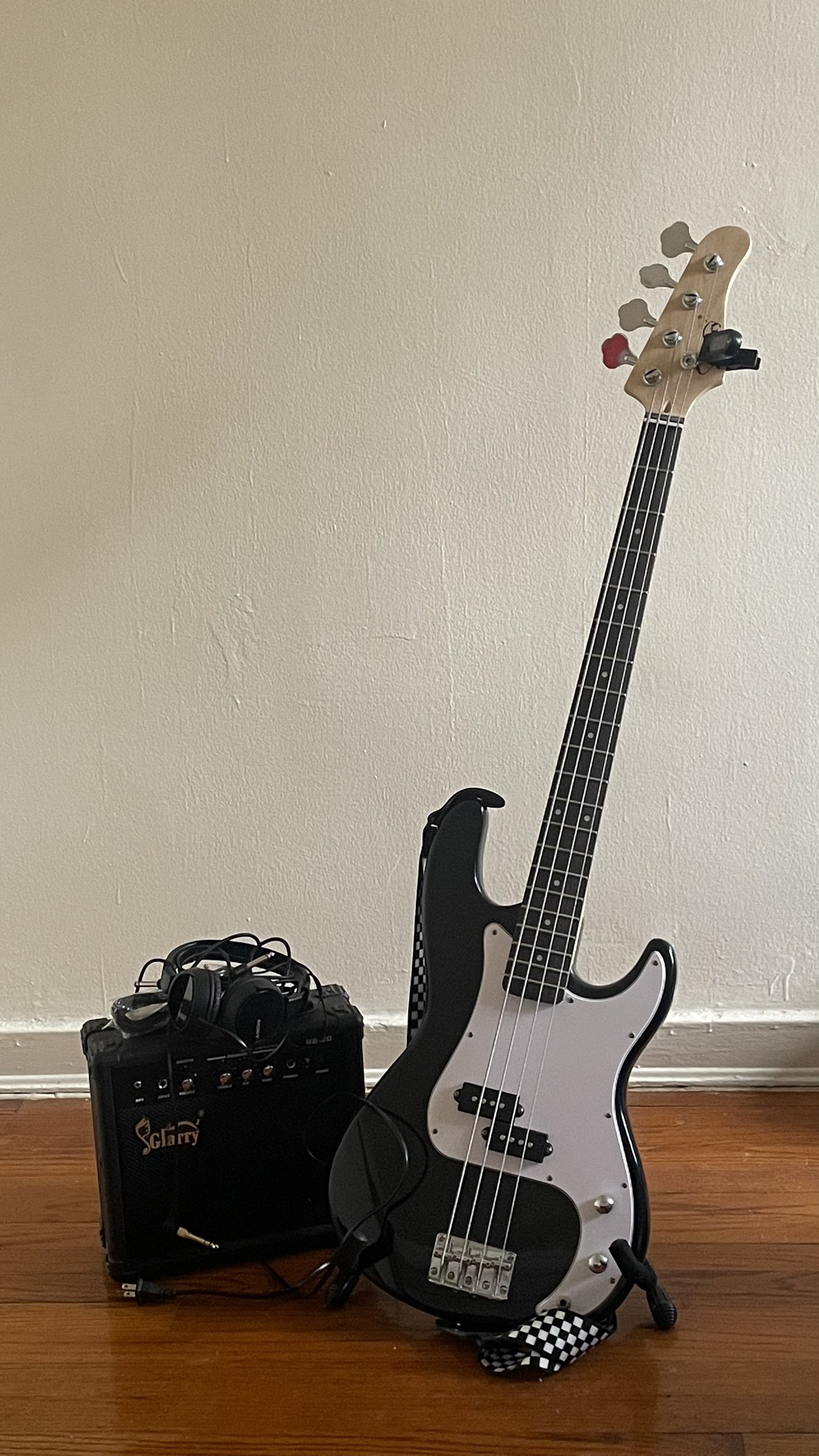 Bass guitar (with amp,stand,headphone etc)
