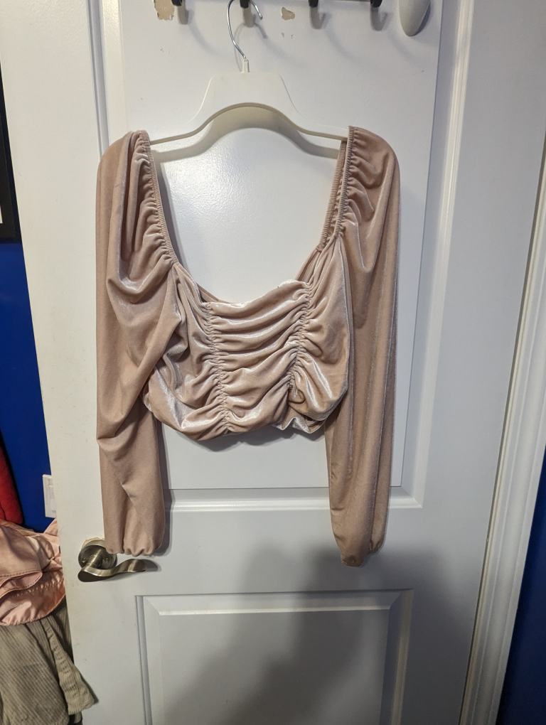velvet cropped top