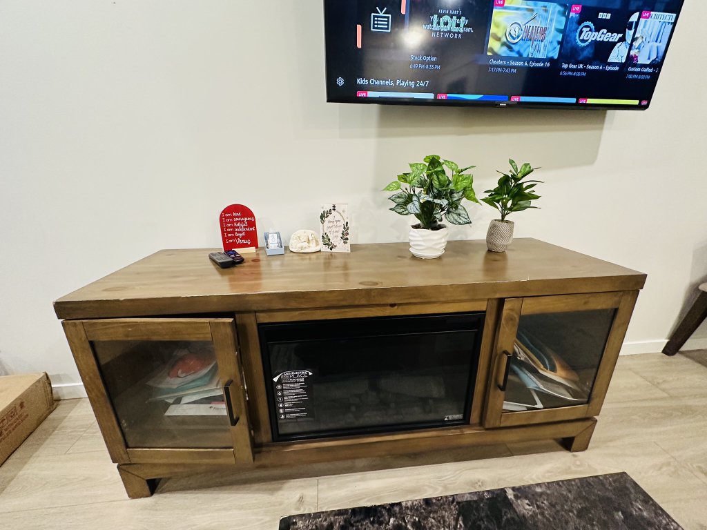 TV Console and Fireplace