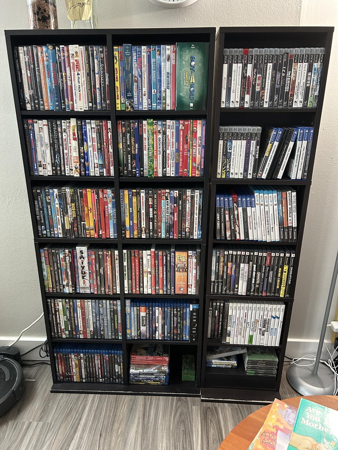 DVD Shelf