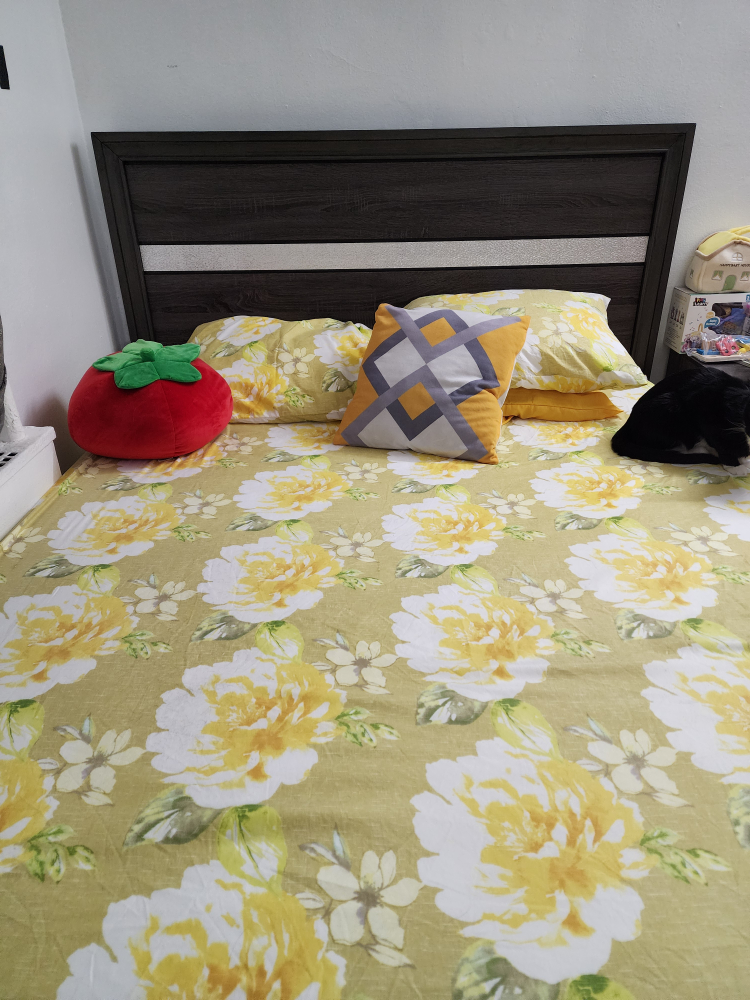 queen bed with mattress - photo 2