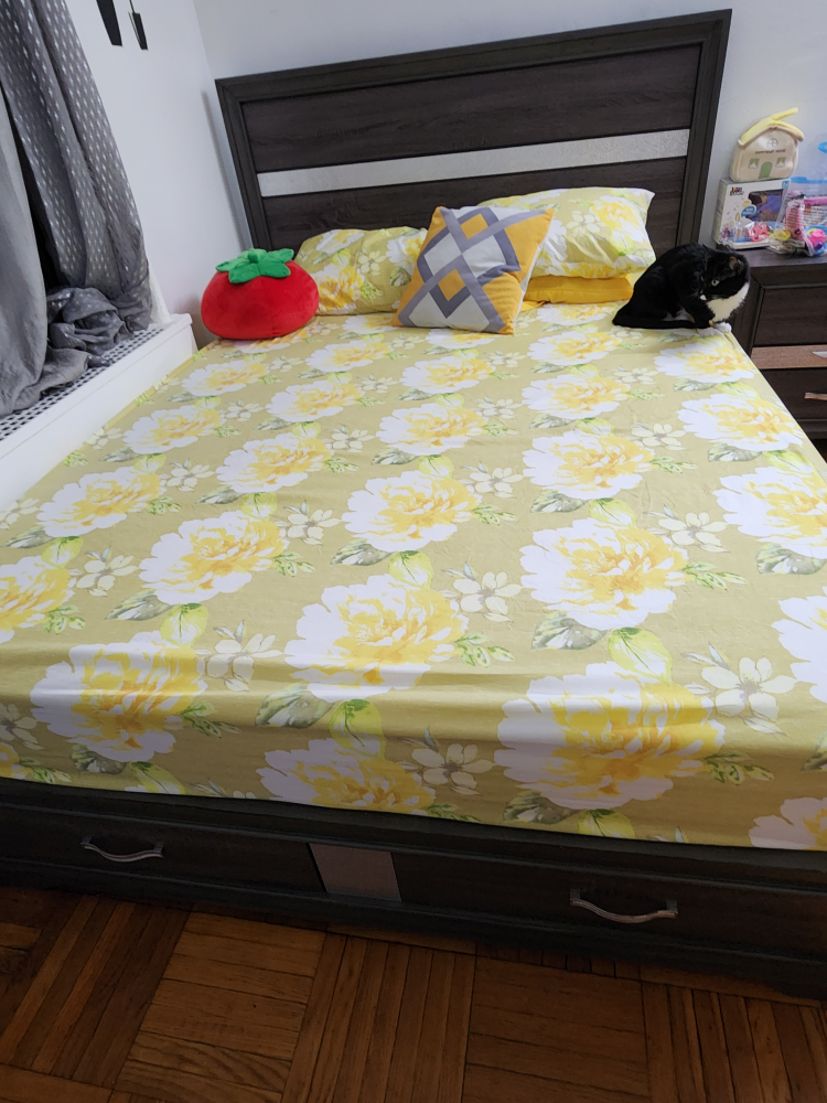 queen bed with mattress - photo 3