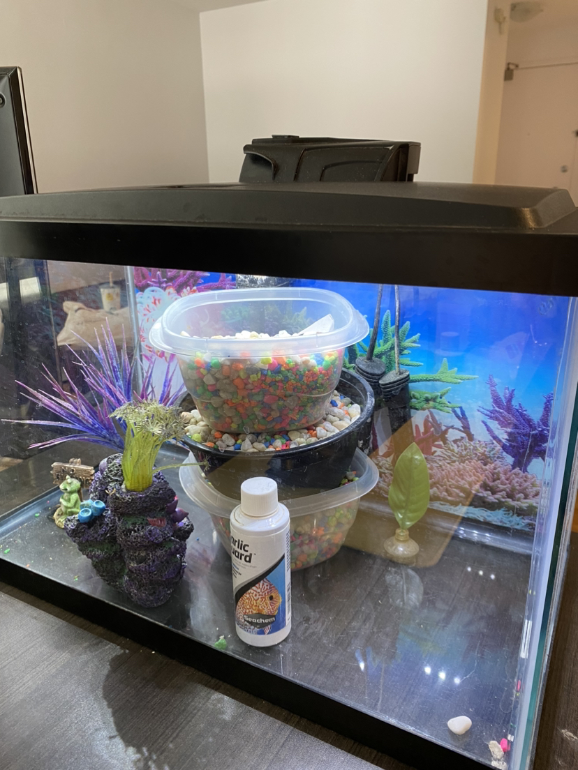 Aqueon LED aquarium kit