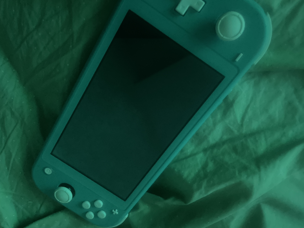 Nintendo switch lite