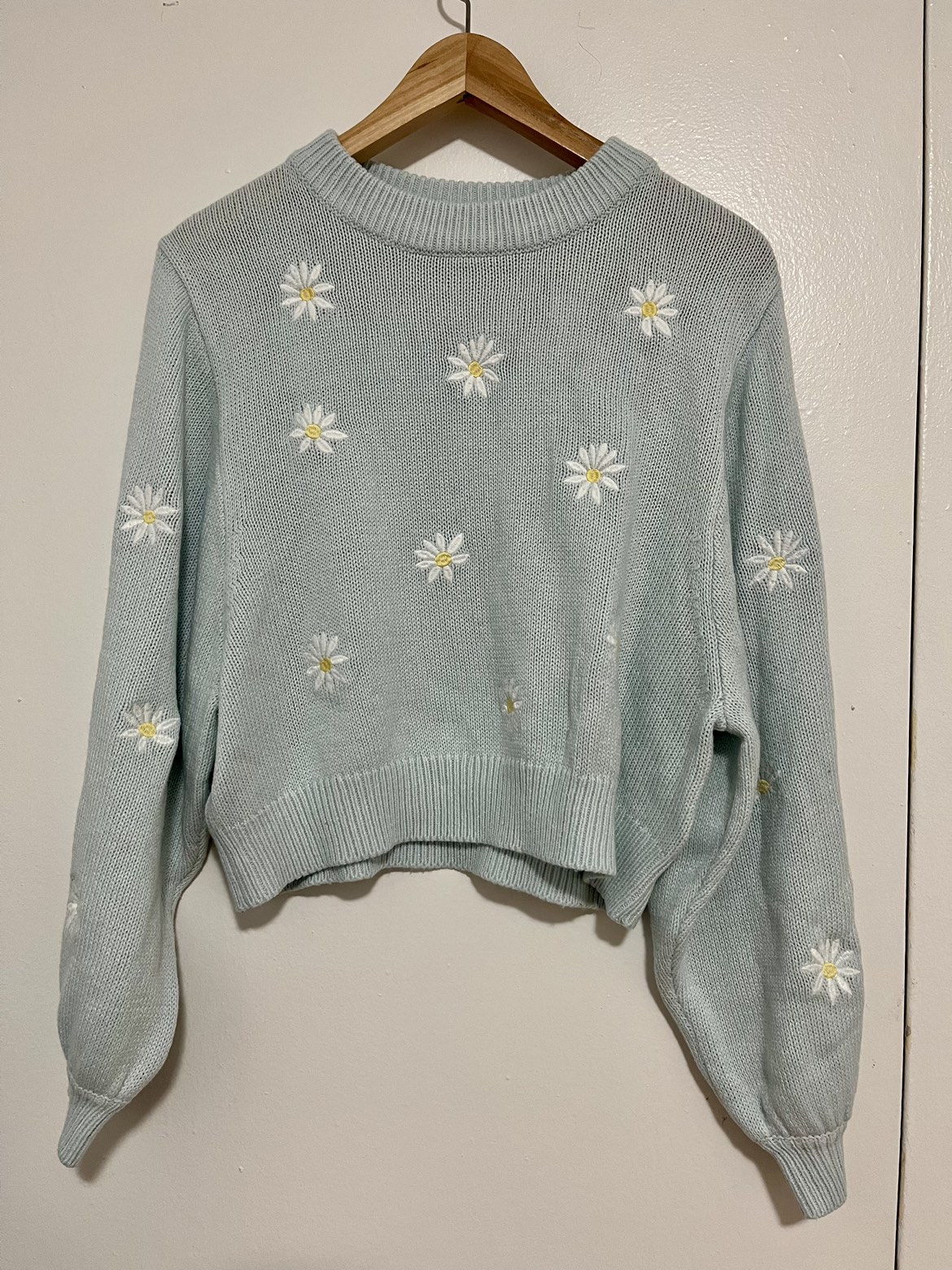 Powder blue cropped embroidered daisy sweater thumbnail