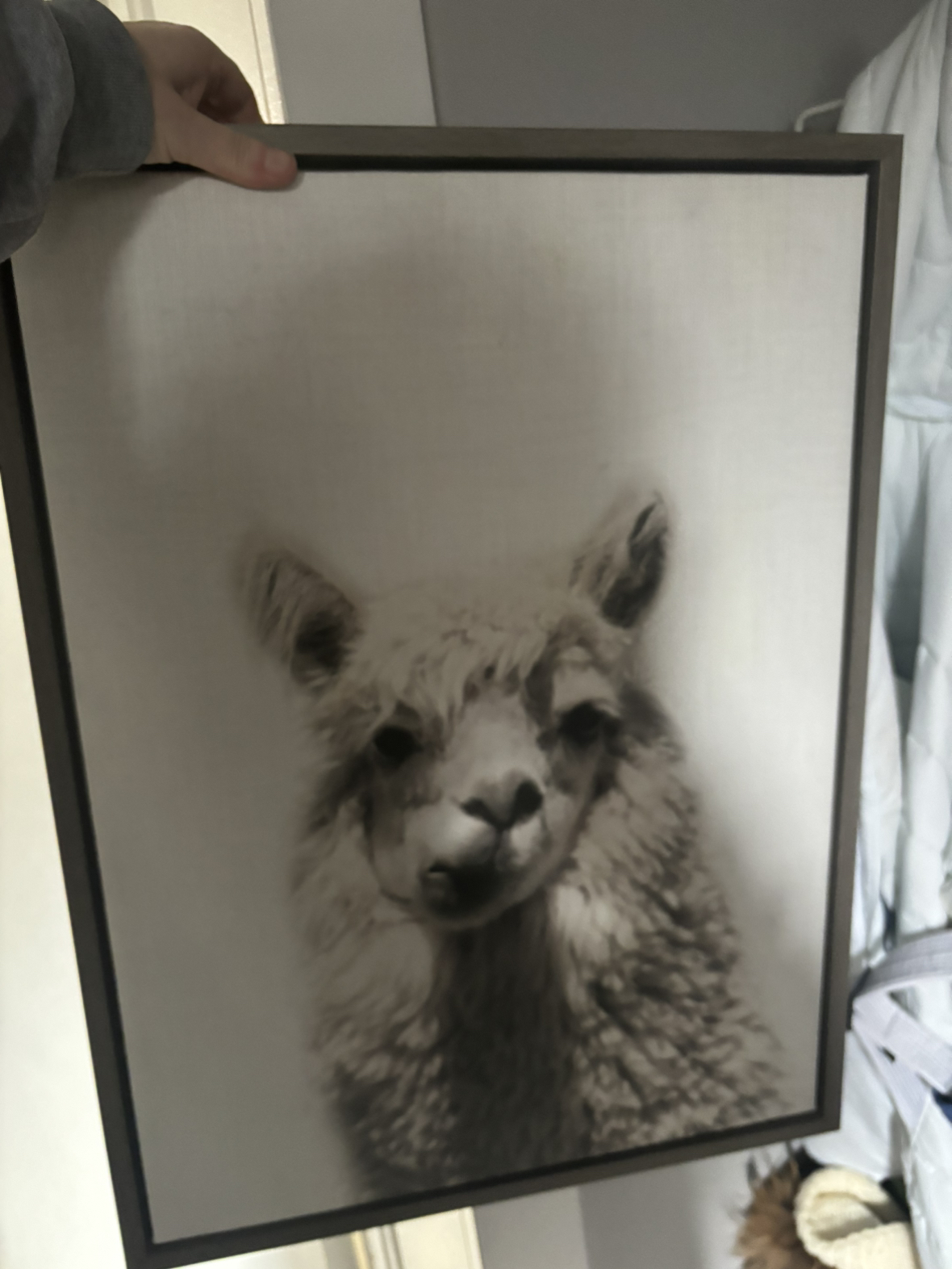 Llama art print thumbnail