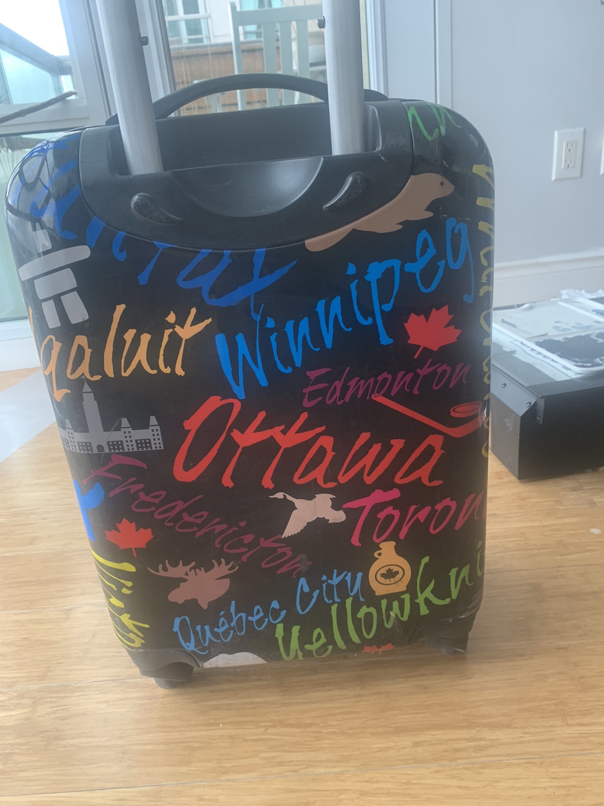 Suitcase Canada theme image indicator(4)