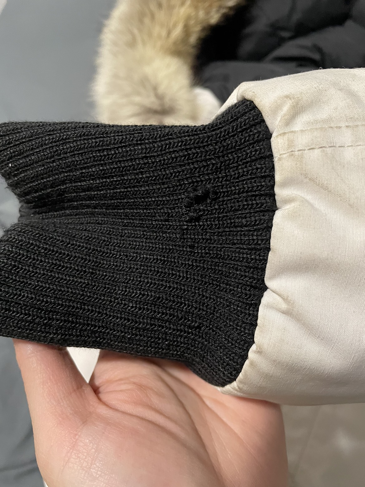 Authentic Canada Goose Chilliwack Bomber Size XS image indicator(9)