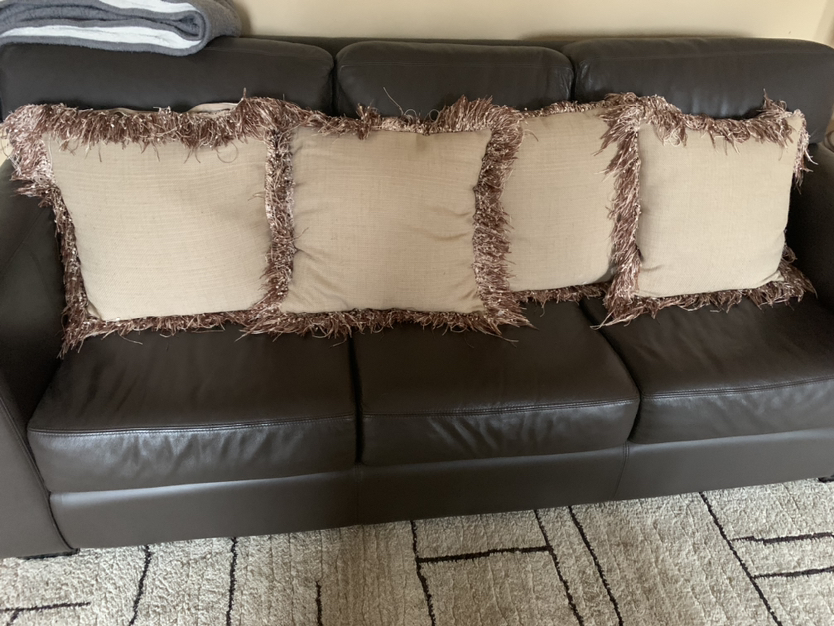 Decorative Pillows