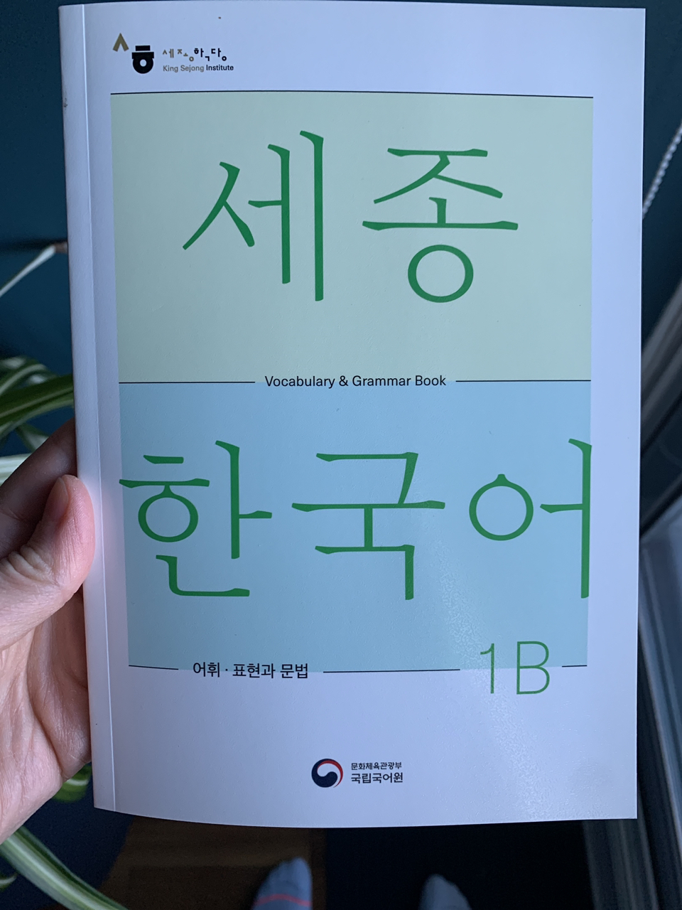 Sejong Korean Vocab & Grammar 1B (세종 한국어 1B) thumbnail