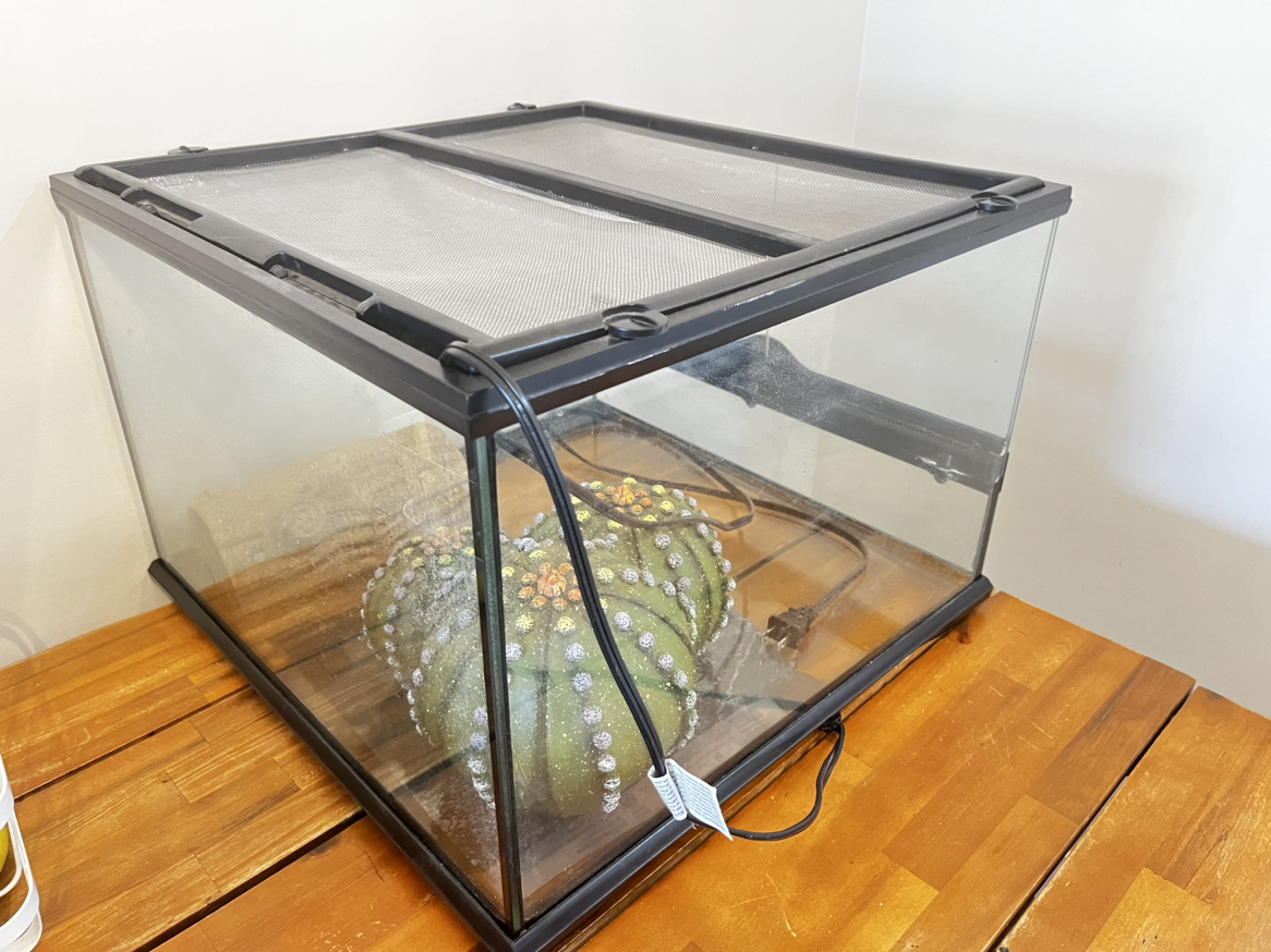 Exo terra 18x18 - photo 4