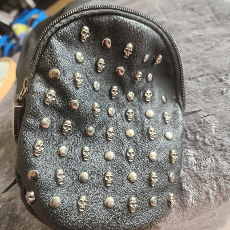 skull purse image indicator(3)