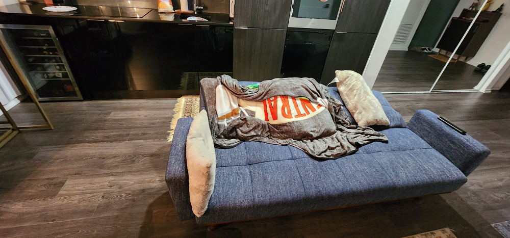 Sofa Bed -- Blue