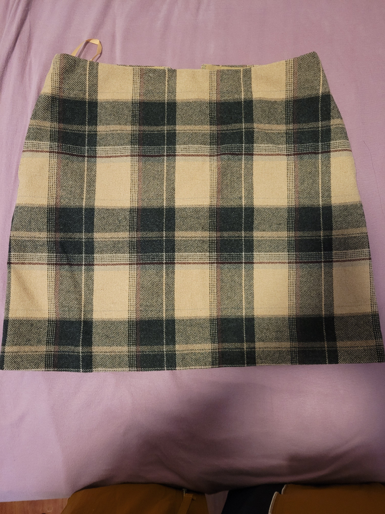 winter skirt