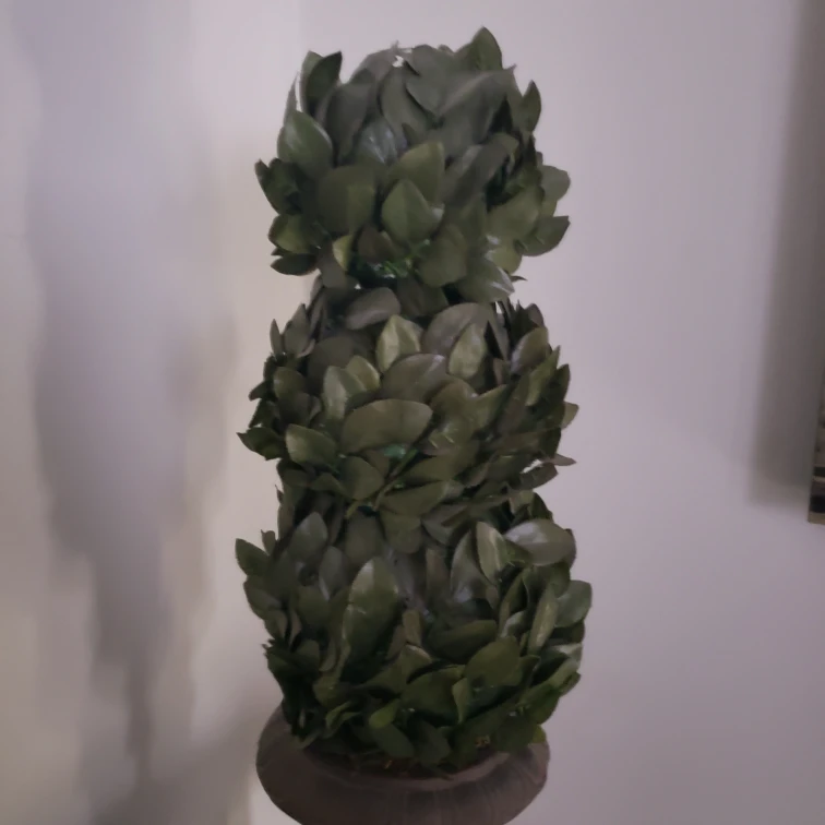 Decorative Topiary Tree thumbnail