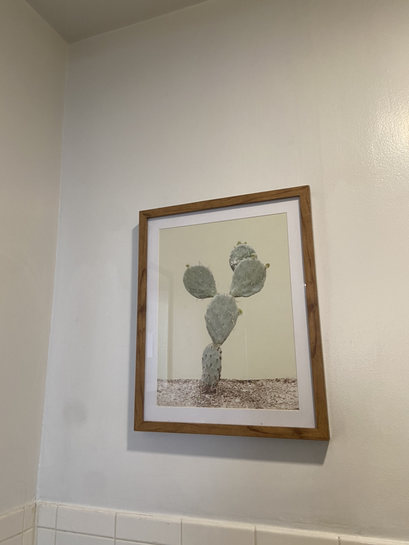 Succulent Wall Art - photo 2